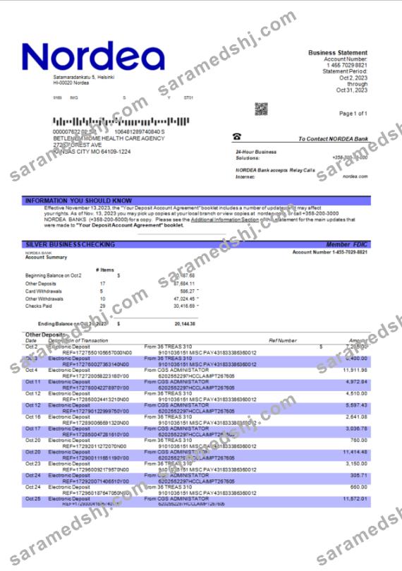 Nordea Bank enterprise checking account statement Word and PDF template